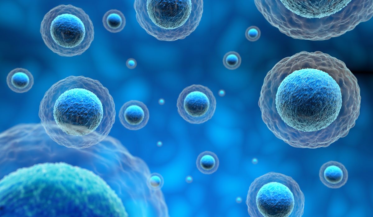 Stem cell therapy