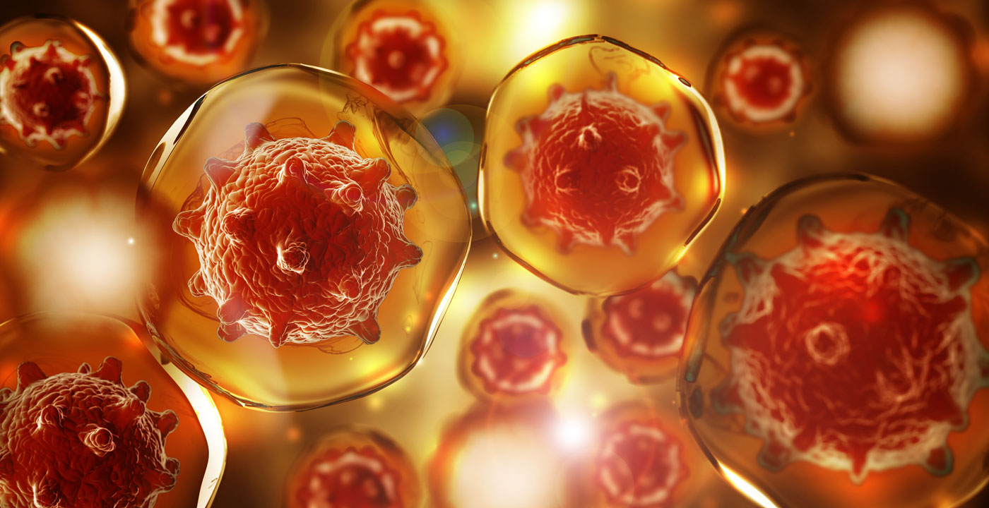 NK (Natural Killer) cell therapy